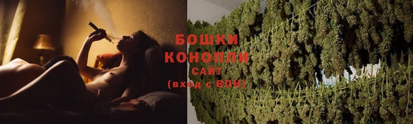 гашик Белокуриха