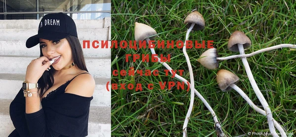 гашик Белокуриха
