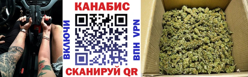 MEGA ТОР  Ершов  Канабис индика 